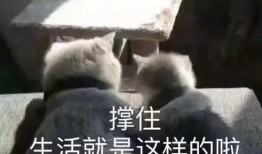 搞笑爆料新闻文案,笑料百出！盘点那些让人捧腹大笑的爆料新闻