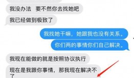 张大妈如何看最新爆料记录,揭秘最新爆料背后的真相