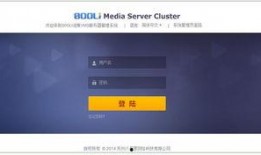 服务器爆料视频下载安装,下载安装全过程深度解析
